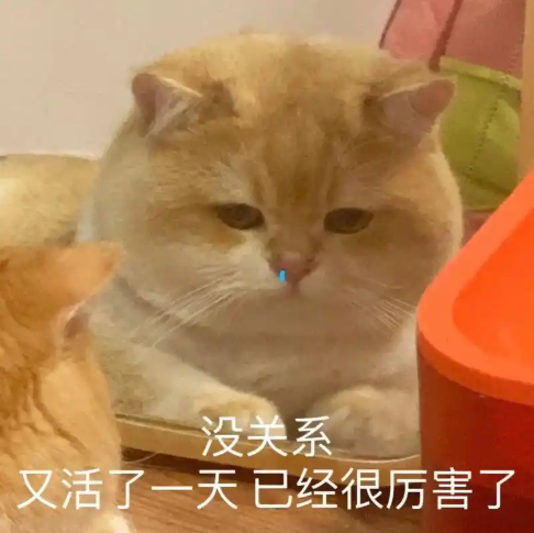 640
